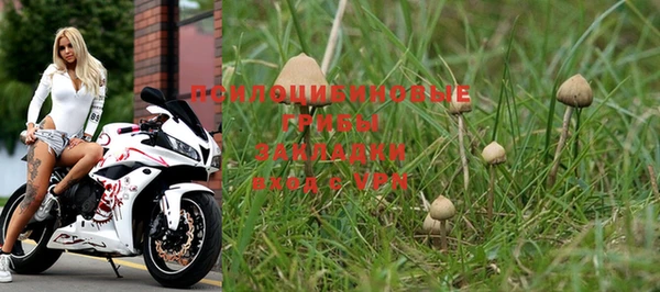 твердый Гусиноозёрск