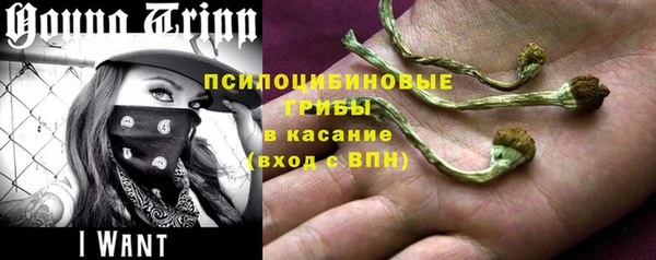 PSILOCYBIN Гусев